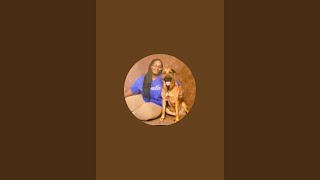 These videos are about Fostering, Boarding, Doggy Daycare, Common area Projects, and Gardening