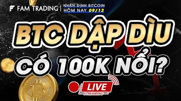 Cập nhật thị trường Crypto: BITCOIN HÔM NAY DẬP DÌU - CÓ 100K NỔI?