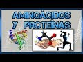 Biomoléculas: Aminoácidos y proteínas