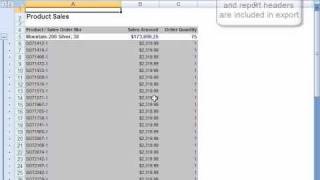 SSRS - Excel Unformatted Export