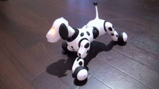 Ｈｅｌｌｏ！Ｚｏｏｍｅｒ (ハローズーマー) 　おやすみ♪編