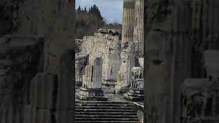 APOLLON TAPINAĞI