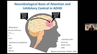How Do Drugs for ADHD Work?