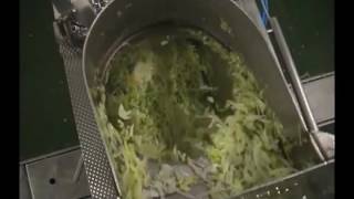 Eillert Leafy Vegetable Processing Line