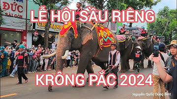 Lễ hội Sầu riêng Krông Pắc  2024