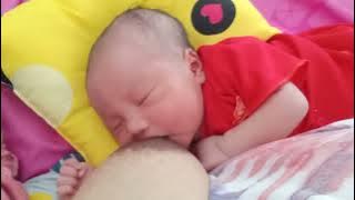 menyusu sang ibu adalah aktifitas bayi yang wajib 😘agar ia sehat dan berkembang cepat(2)