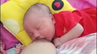menyusu sang ibu adalah aktifitas bayi yang wajib 😘agar ia sehat dan berkembang cepat(2)