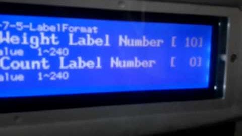 Scale Setting & Send Label Format.3gp