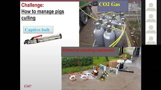 ASF Webinar for South East Asia: Culling and safe disposal of pig carcasses