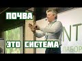 Почва - это система, в которой зарождается жизнь