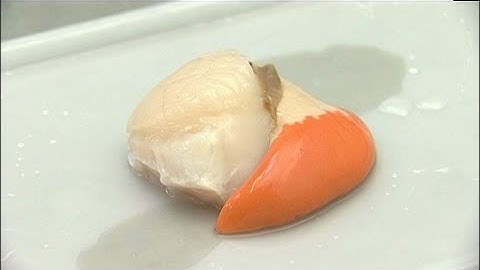 Scallop Processing - The Importance of HACCP | 02