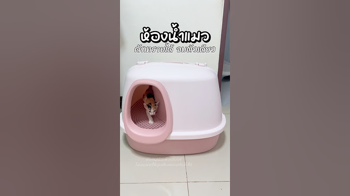 ห้องน้ำแมว มีดักที่ทรายในตัว ถูกใจทั้งเจ้านายและทาสเลยค่า #ห้องน้ำแมว #กะบะทรายแมว