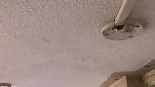IMG 5949 05:53 03 JUN 2026