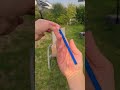 How to throw pencilstutorial