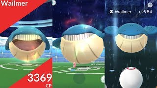 Raids & Catch Wailmer Pokémon Go