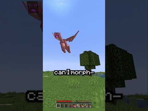 Minecraft, But Any