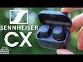 NEW SENNHEISER CX - [Better Sound Than AirPods, Half The Price]