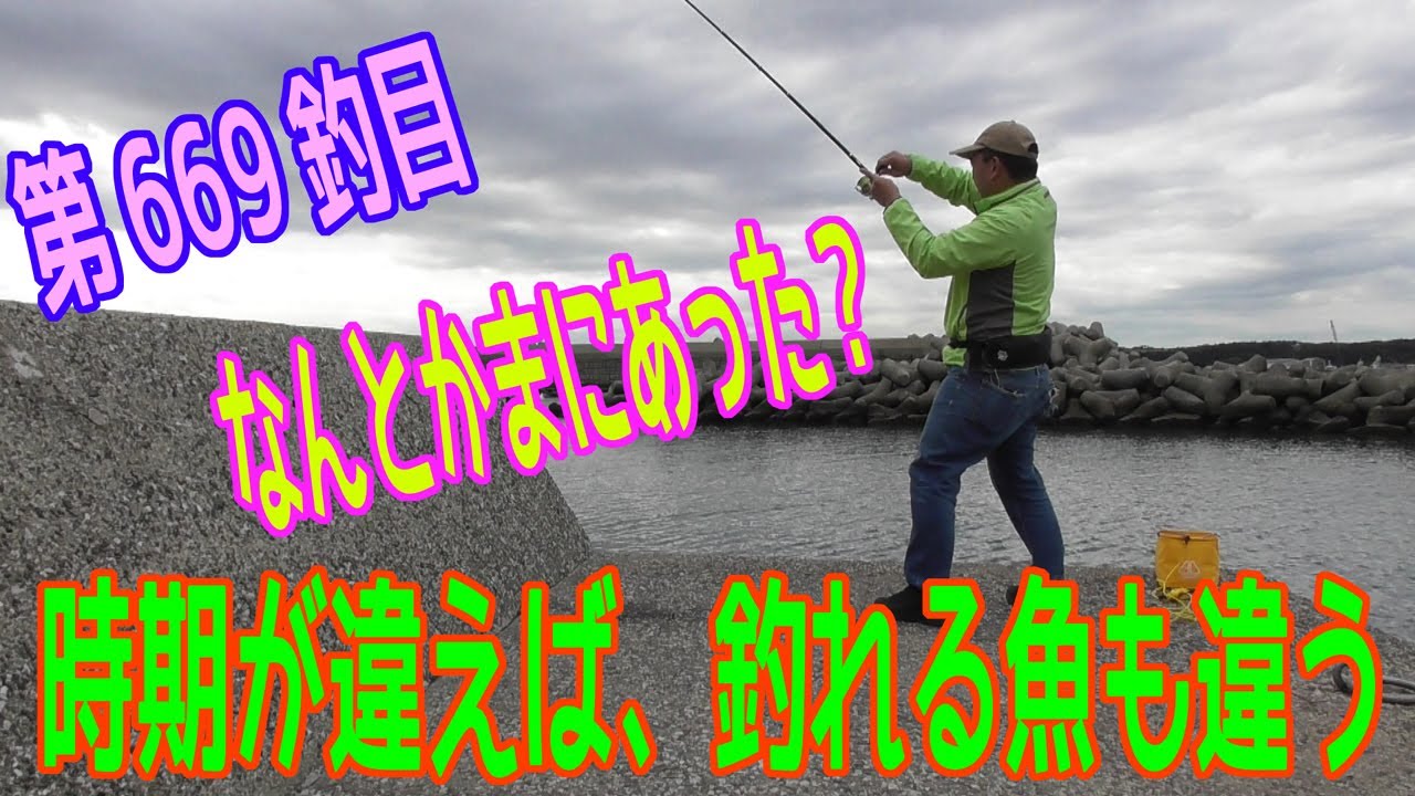 釣り動画ロマンを求めて 669釣目