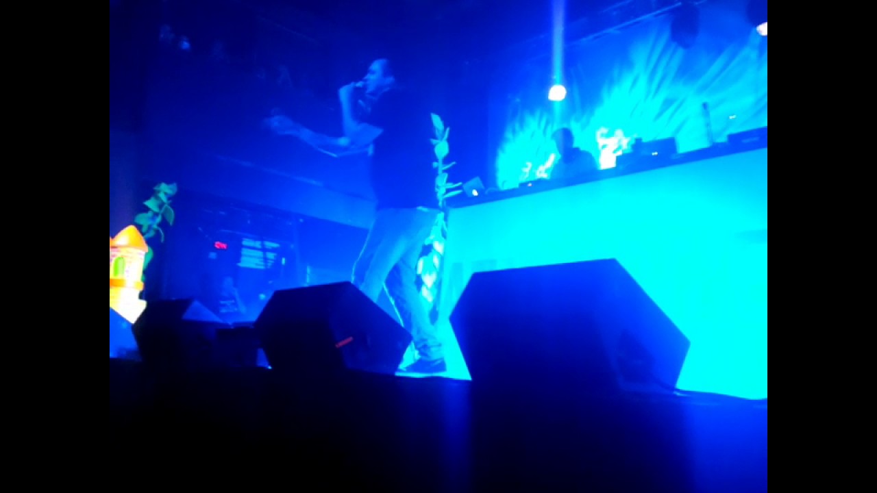 Happymess - Fort Lauderdale