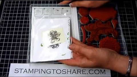 Framelit & Stamp Set Organizational Tips