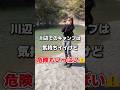 知らないとヤバイ!川辺でキャンプやBBQの際に知っておくべきこと4選!#キャンプ #キャンプ初心者 #ファミリーキャンプ #アウトドア
