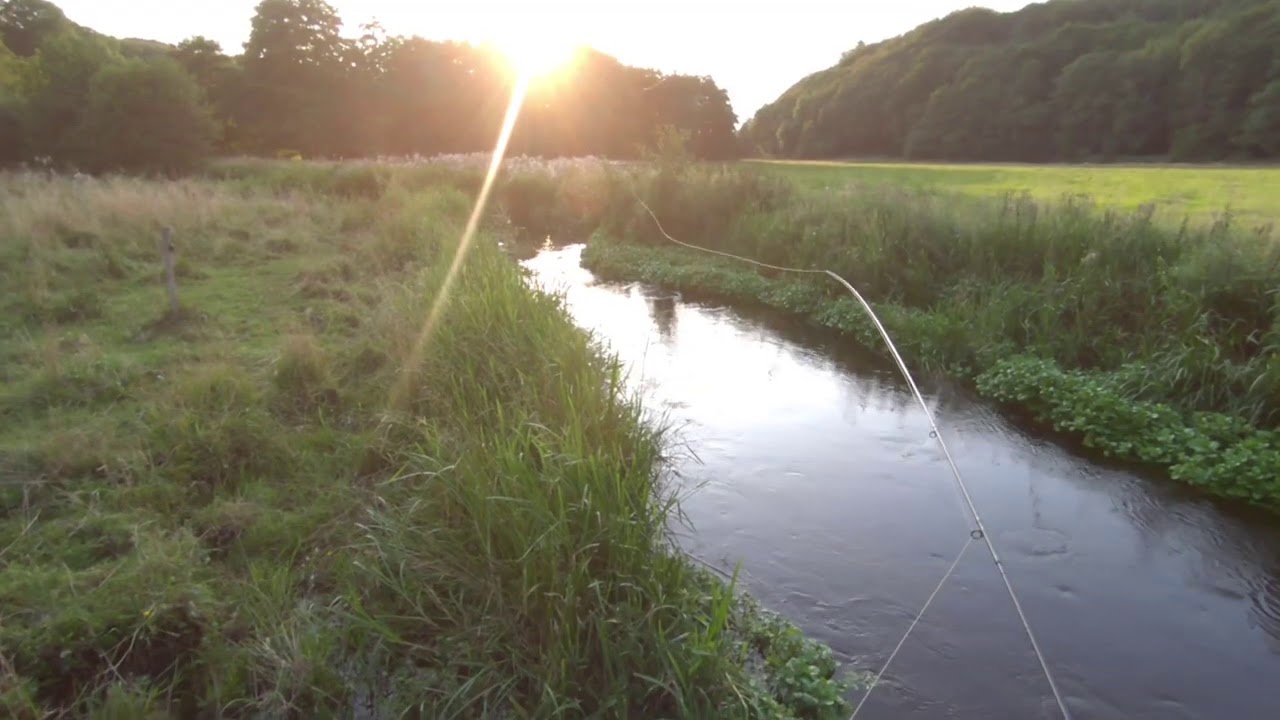 6 8 2019 Villestrup å