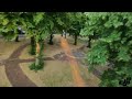 DJI NEO 🌳 PARK   MANUAL Mode (Test1)