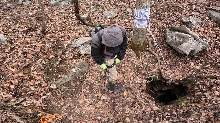 250ft Hole In The Forest Leads To Magical Flowing Formations - DayDayNews