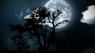 Night Sky Animation | Moonlight