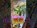 実はリクガメの赤ちゃんが大爆誕していました！！