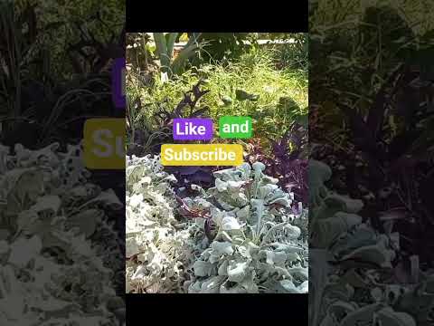 متى ستعرف أنني كنت الأصدق بين الجميع