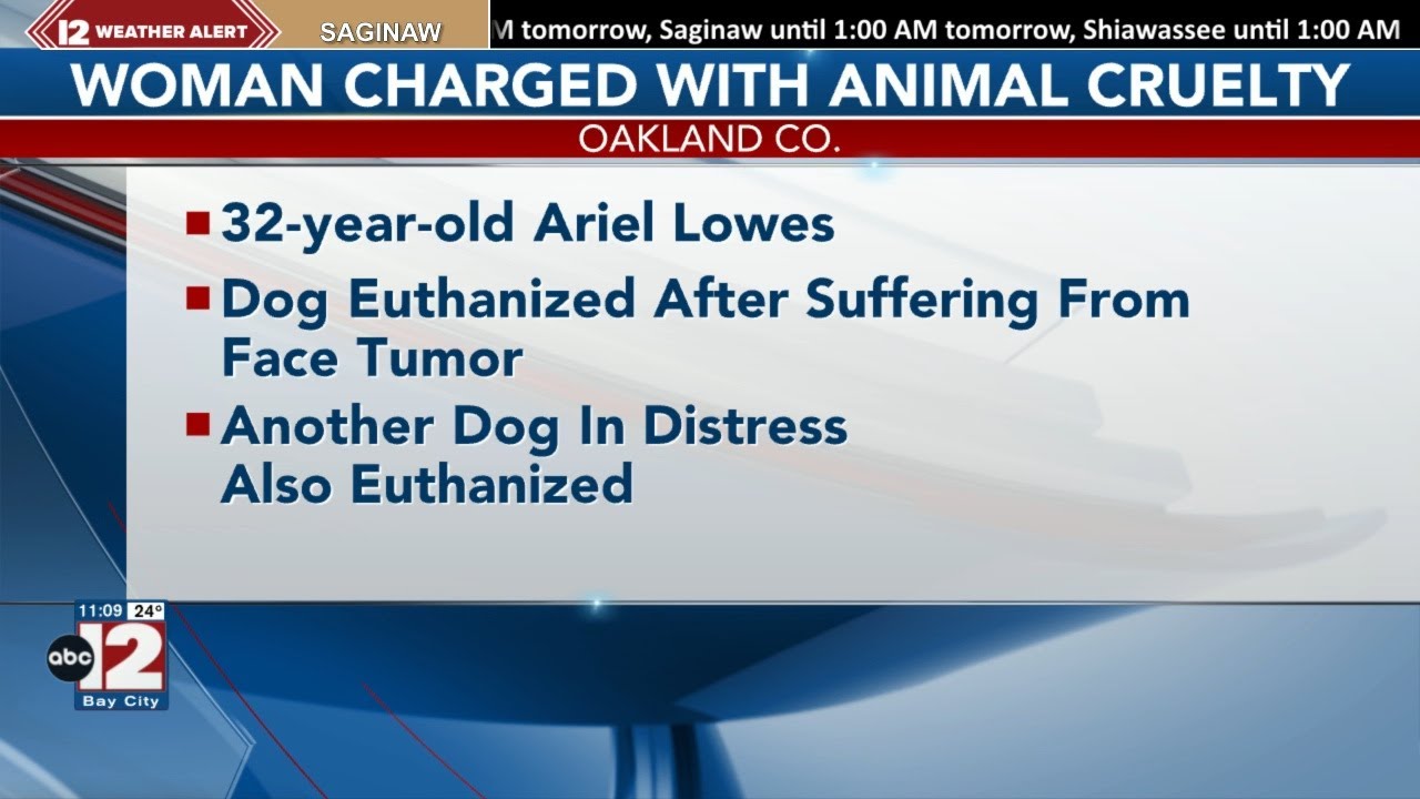 Holly Township woman charged with animal cruelty - YouTube