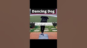 Dancing Pug! #shortsvideo #puglove #pug #dancingpug #shorts