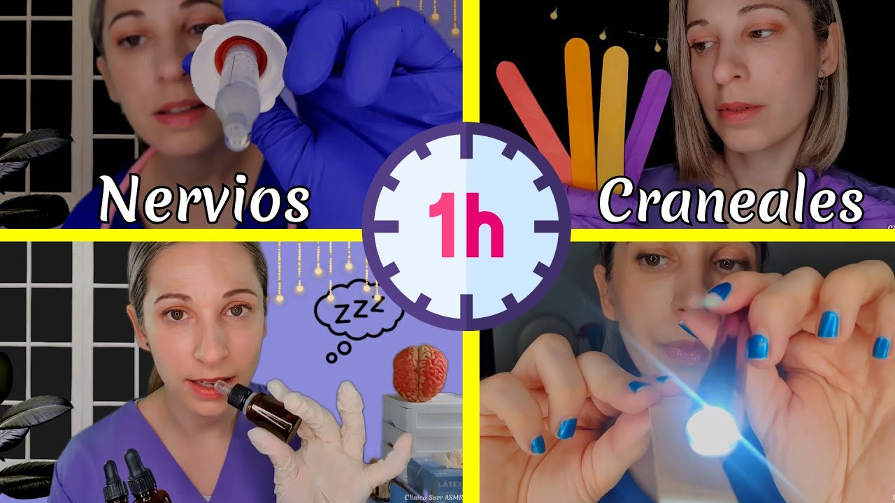 ASMR | 1 Hora Revisando tus Nervios Craneales | Clínica Surr ASMR