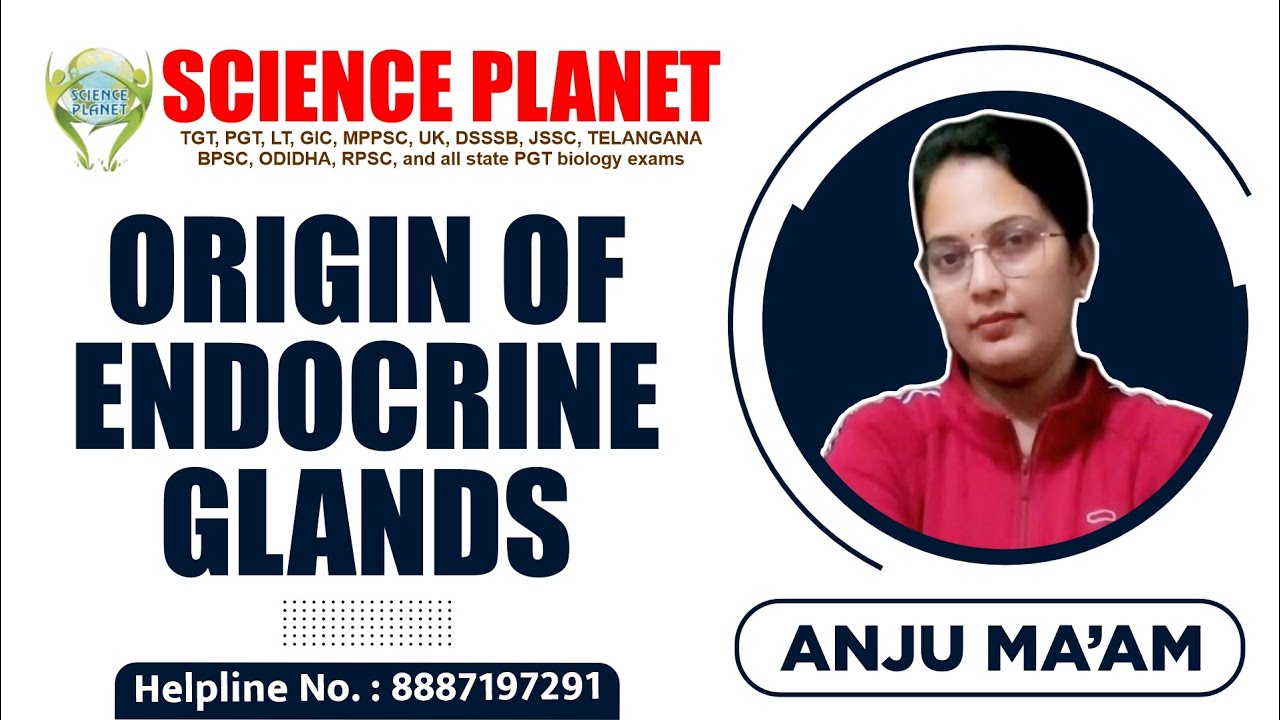 Unveiling the Origin of Endocrine Glands by Anju Mam on Science Planet! 