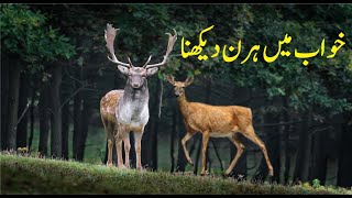 Interpretation of Deer in Dream || सपने में हिरण देखने का मतलब || Khwab mein Haran Dekhna