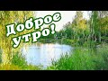 🌞 ДОБРОГО УТРА / ДОБРОЕ УТРО / С ДОБРЫМ УТРОМ / ДОБРОГО УТРА ЛЮБИМОЙ / ДОБРОЕ УТРО КАРТИНКИ