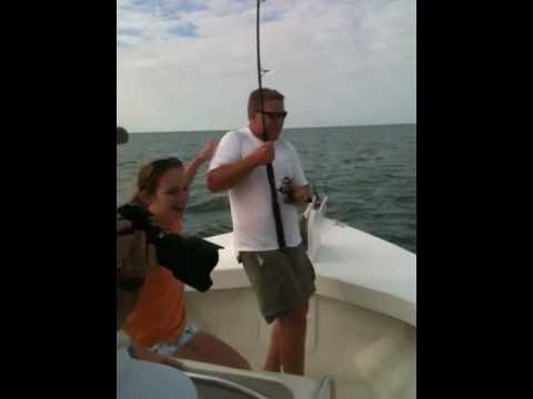 Monster Blacktip Shark off of Marco Island