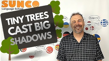 proverbs 101 - tiny trees cast big shadows