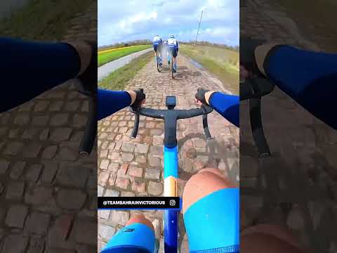 🪨 POV : les pavés de Paris-Roubaix #shorts #cycling #sports