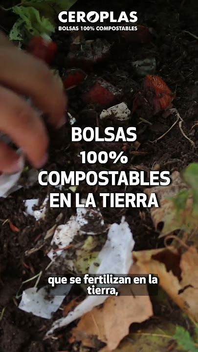 Bolsas para envíos compostables - Ceroplas - Ceroplas