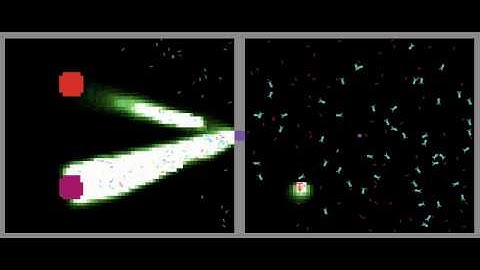 Agent based model for ant colony energy dynamic by Netlogo