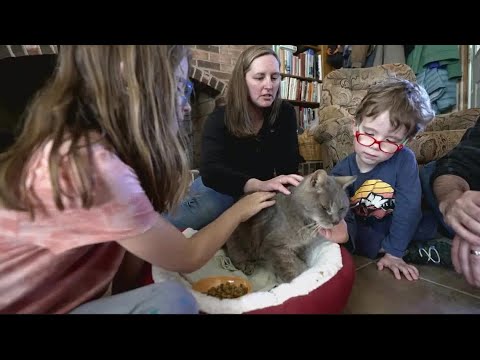 Wideo: Pet Scoop: Dog Scouts mają żołnierzy w całym kraju, zaginionego kota znaleziono po 16 latach