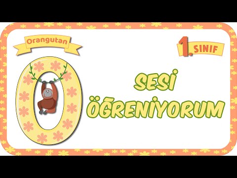 O Sesi Öğretimi 🚍 Okunuşu ve Yazılışı 🏹 1.Sınıf #2024