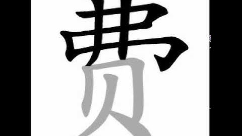 how to write chinese 费丨Chinese stroke order中文汉字笔顺动画