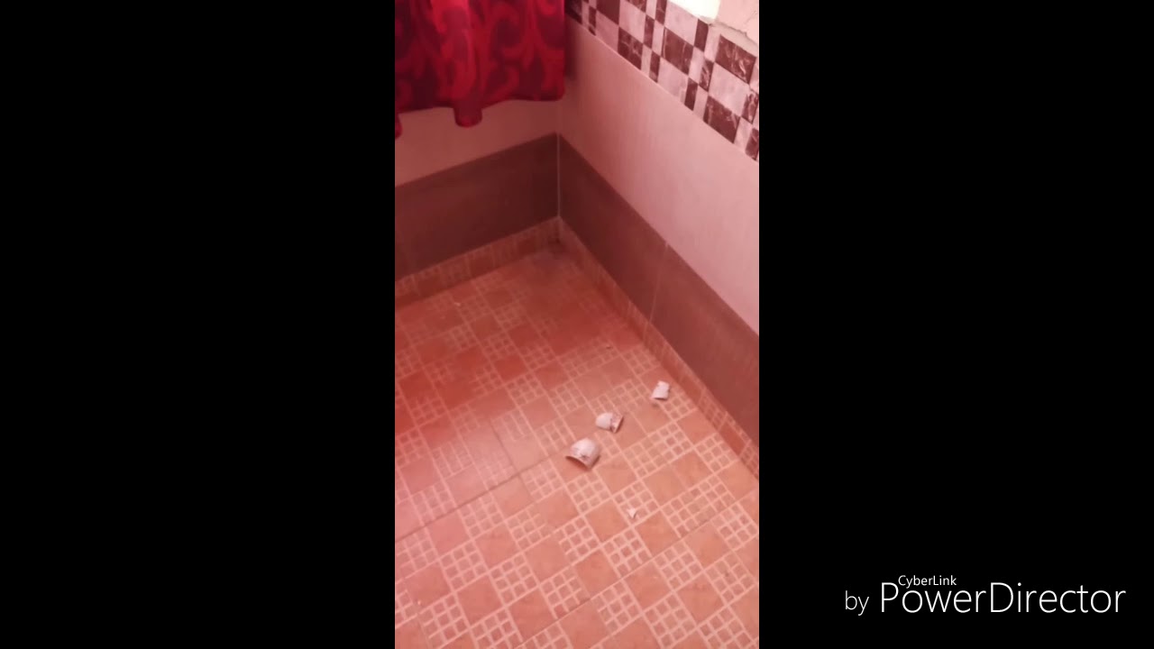 The Broken Reverse Video