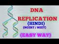 DNA REPLICATION (HINDI) EASY WAY / NCERT