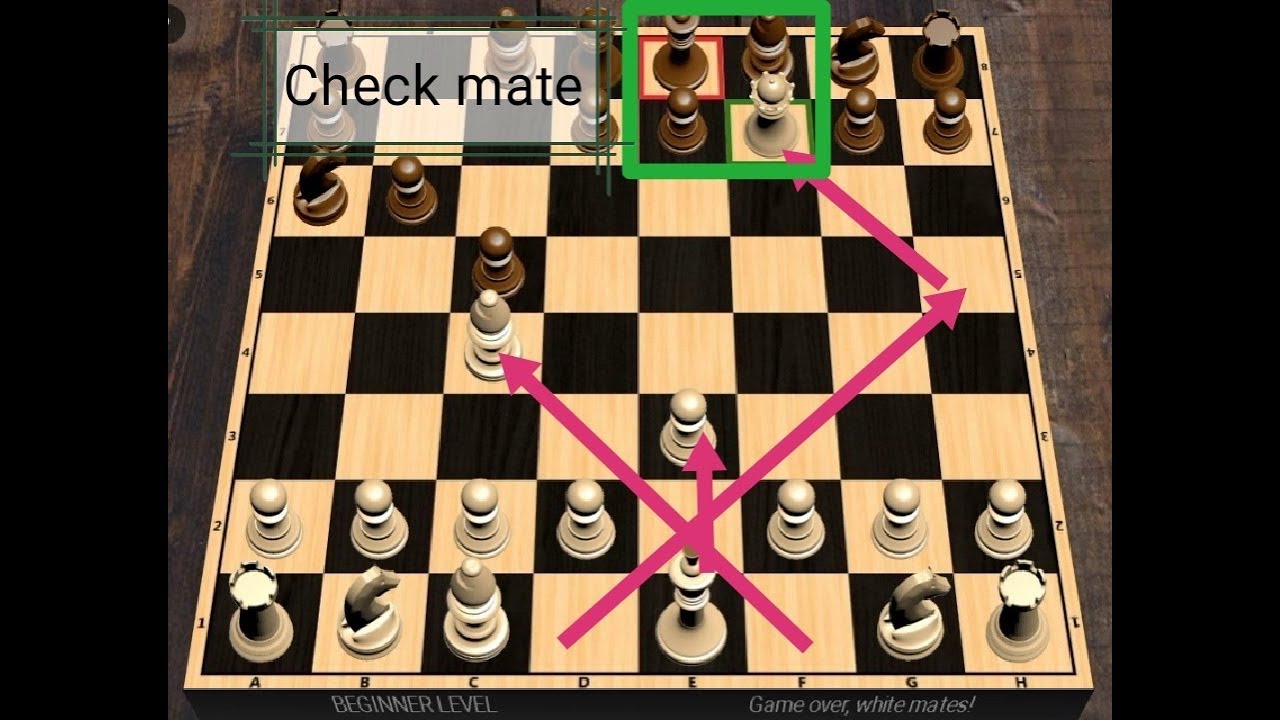 learn chess online