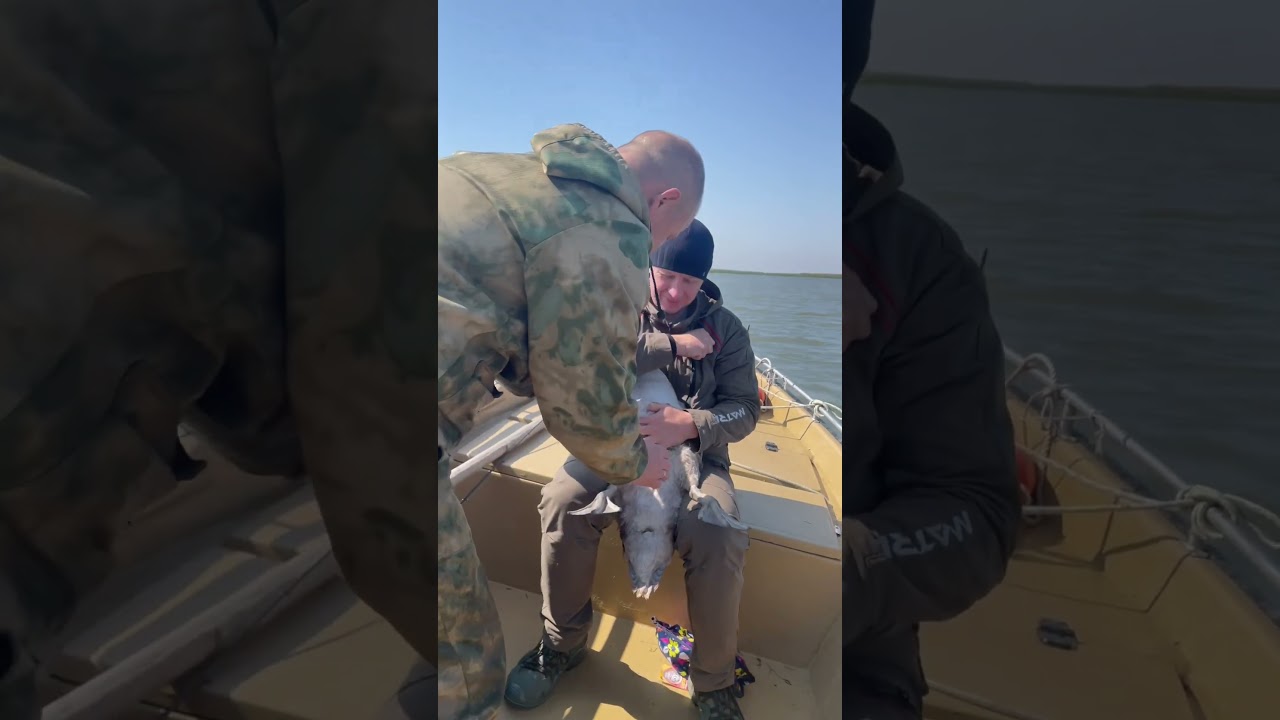 Гадкий утенок😁