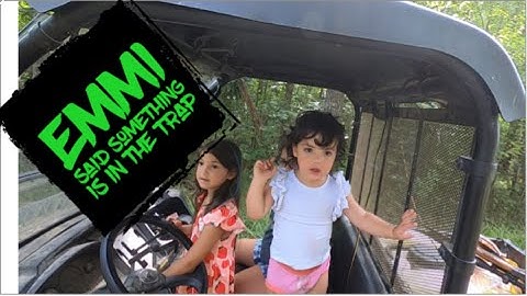 Trapping Hogs With Hogg Boss System